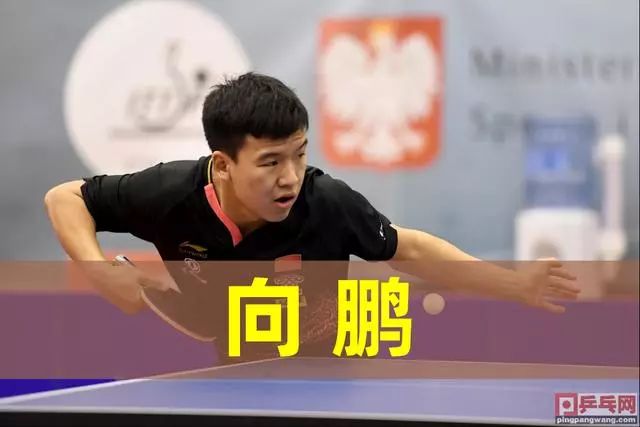 杨瀚森的名 杨瀚森的名