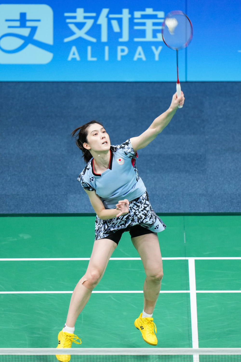 的球员能够 的球员能够