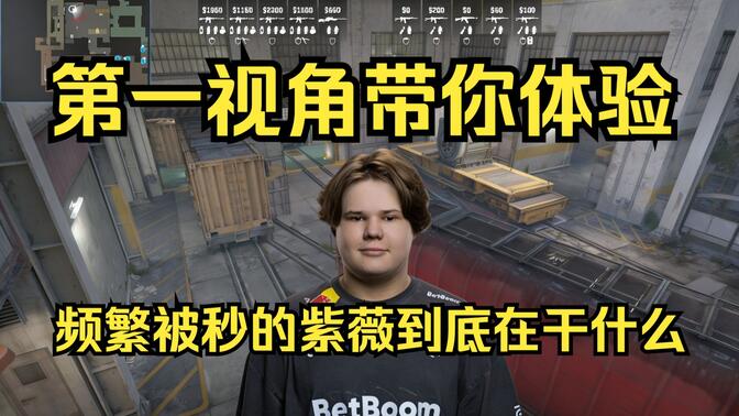 互动力